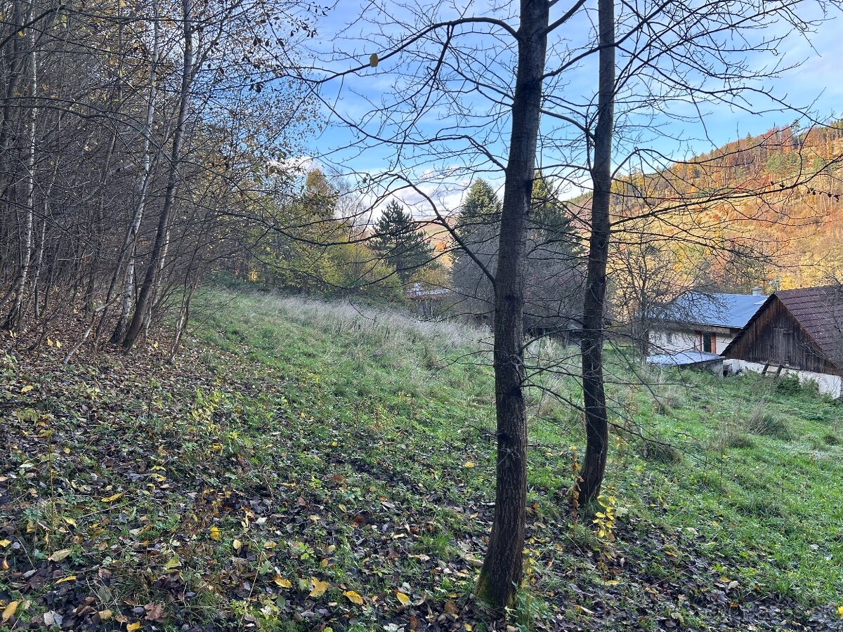 Predám pozemok 7802m2 - 8