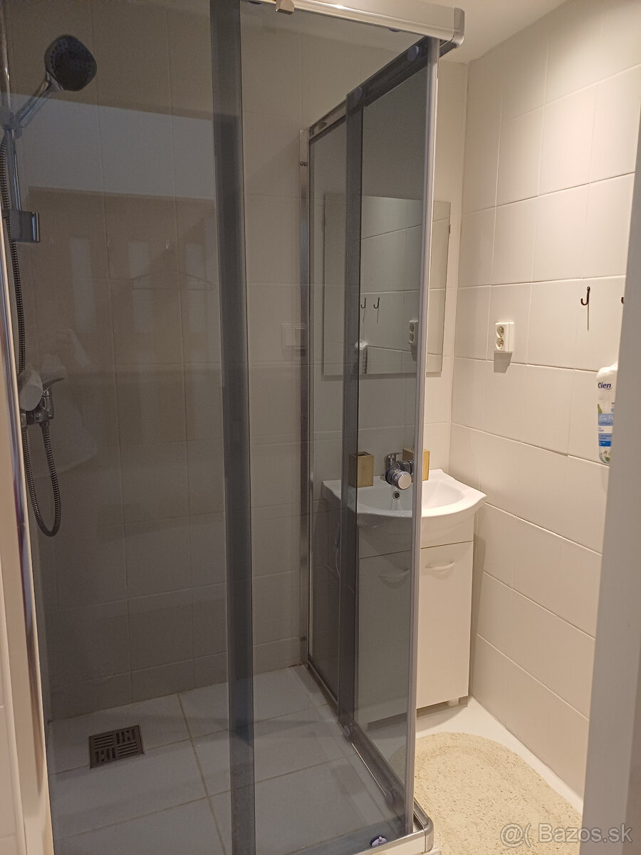 Prenájom 1 izbového bytu - 8