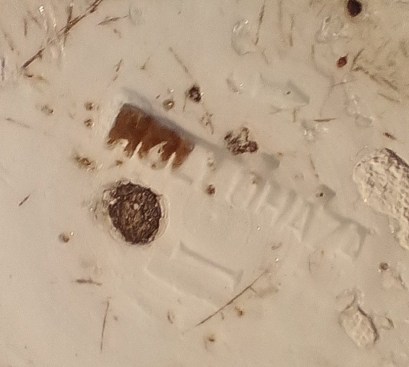 Maľované taniere - 8