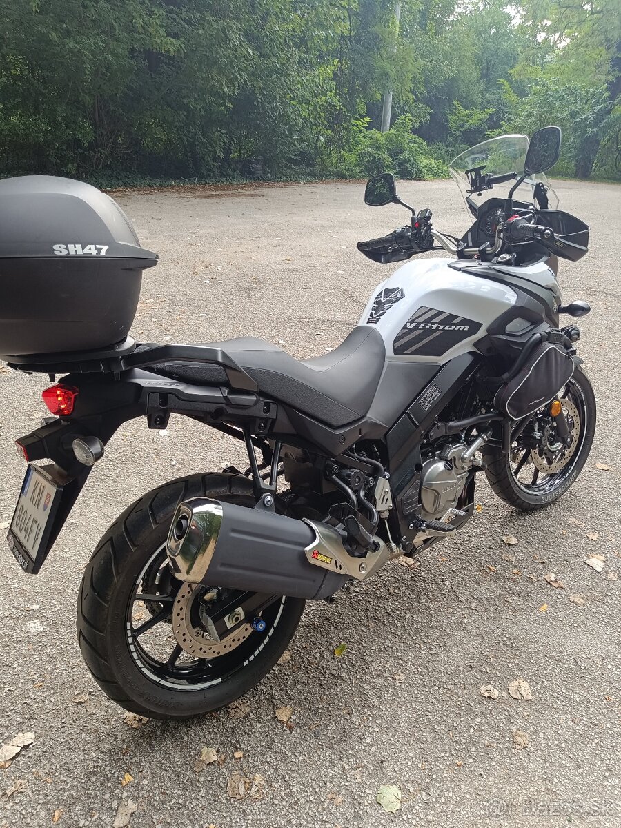 Suzuki v strom - 8