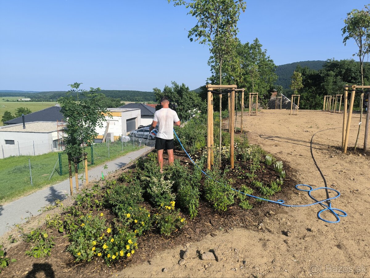 Záhrada zelená strecha rizikové rezanie stromov - 8