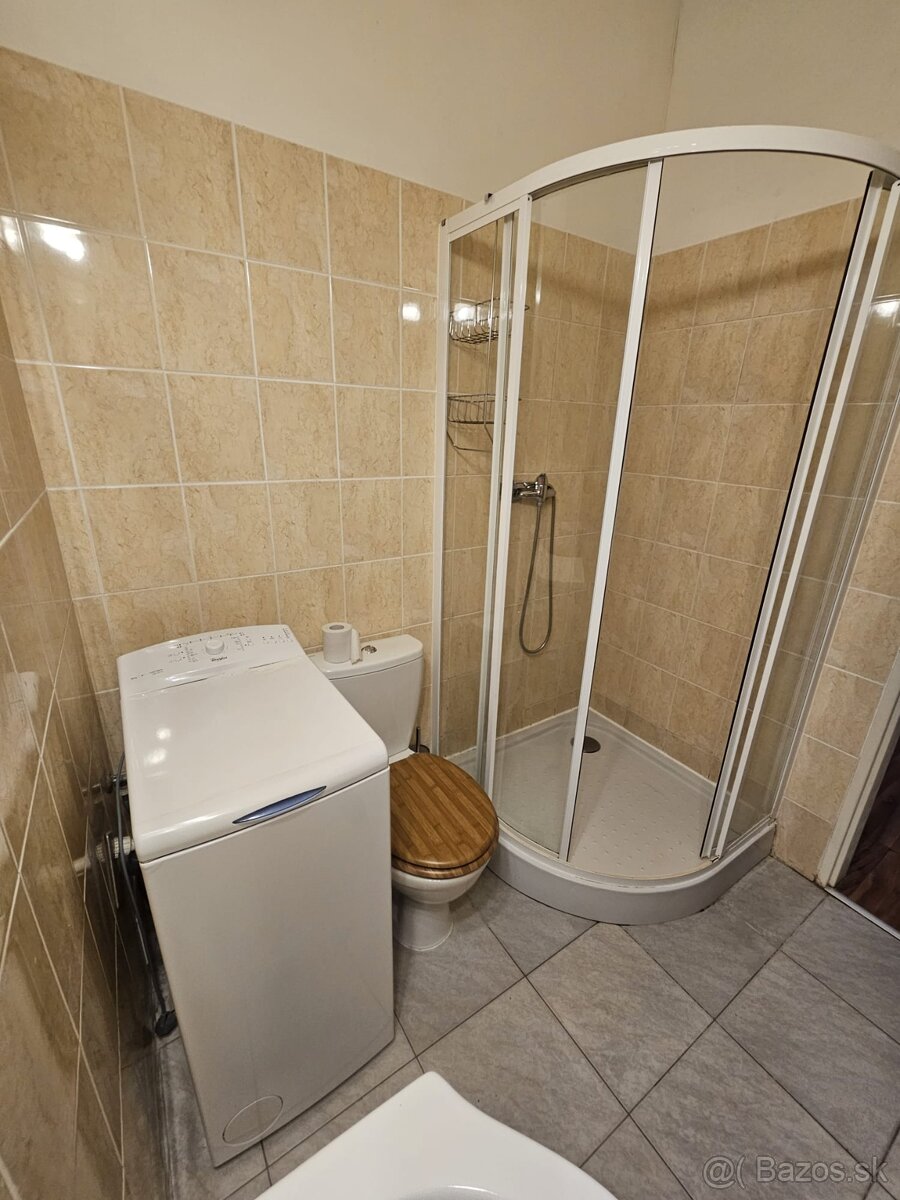 Prenajom 1-izboveho bytu - 8