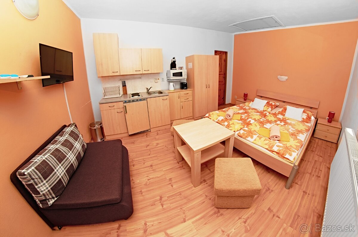 UBYTOVANIE -VYSOKÉ TATRY- VILA RHEA - VIANOCE/SILVESTER - 8