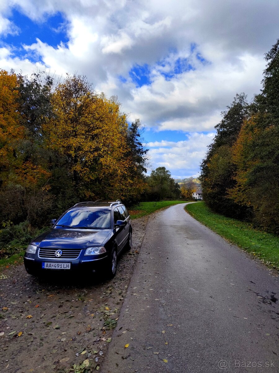 Vw Passat b5.5 - 8
