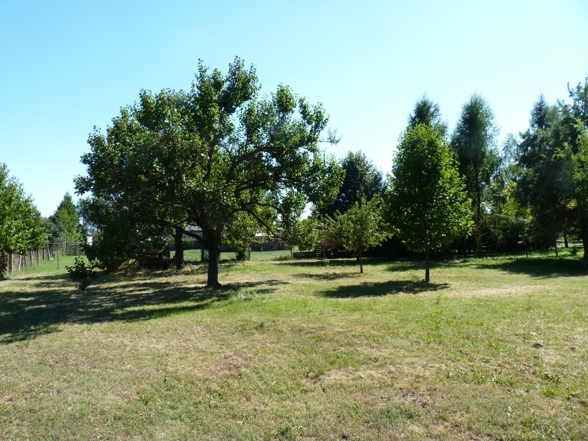 Predaj, dom, pozemok, usadlosť, Rastislavice - 8