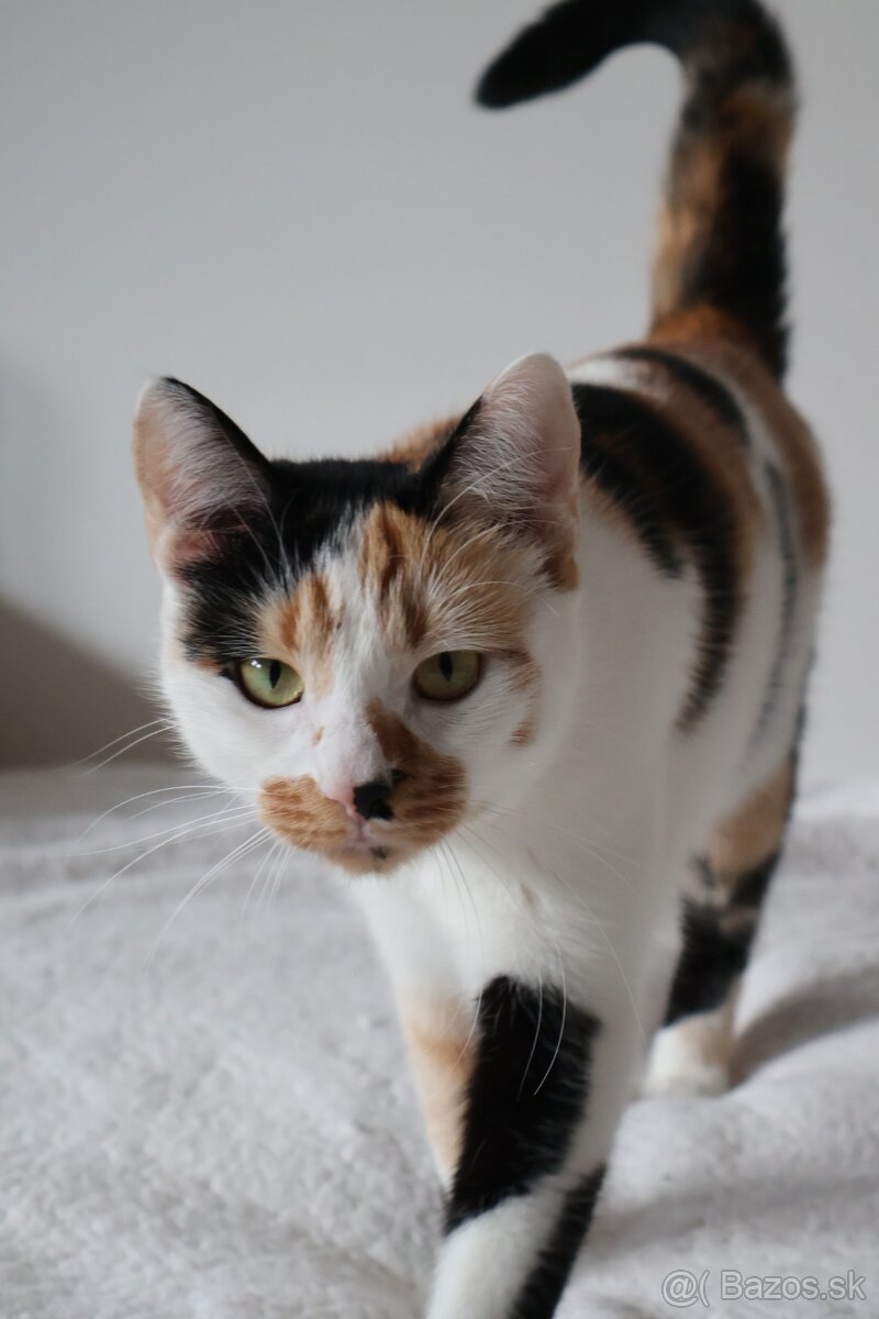 Len do dobrých rúk - 8