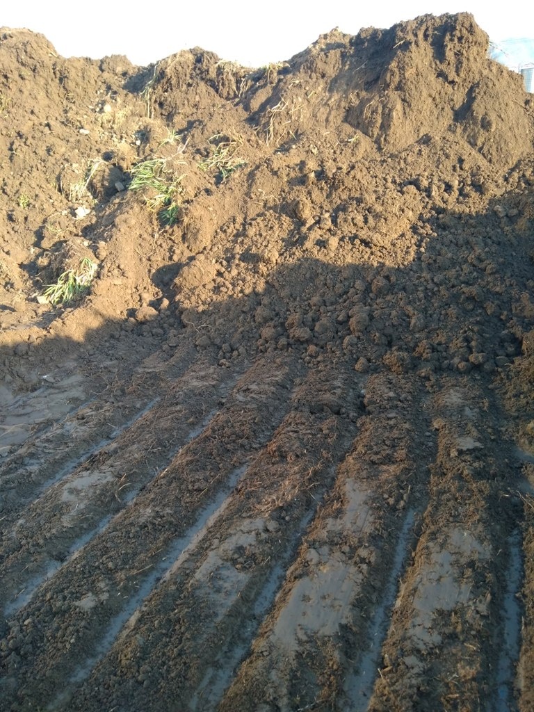 Ornica, zemina, hlina - 8