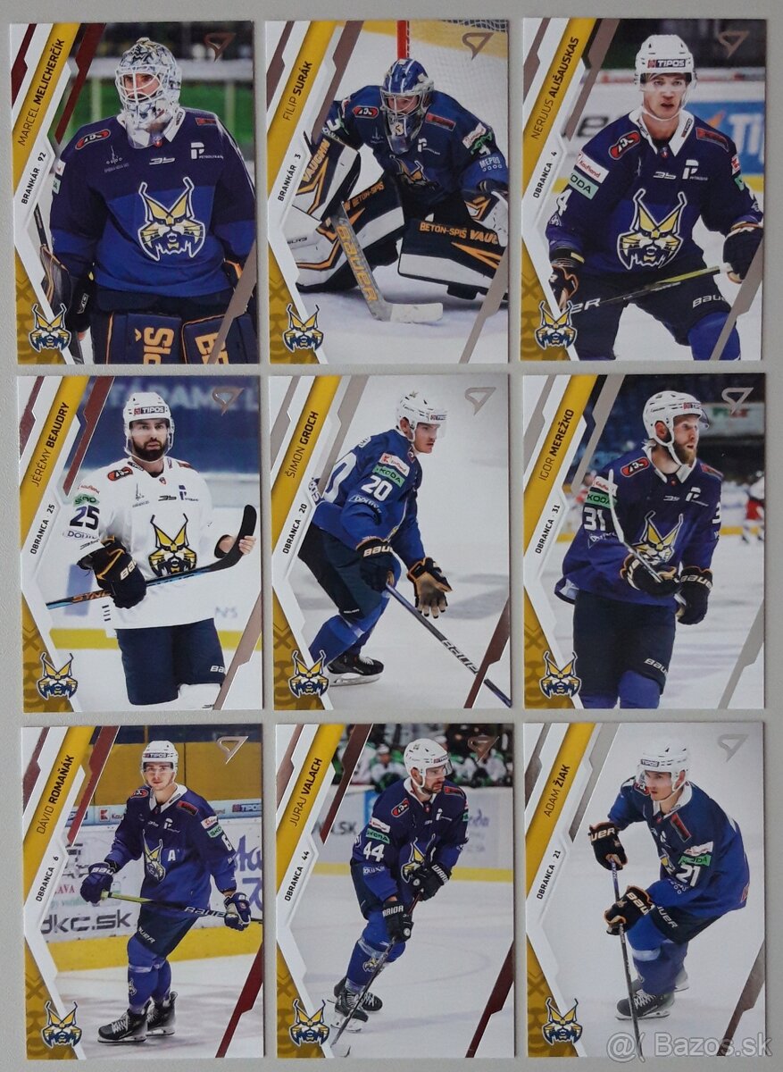 Hokejové kartičky TIPOS EXTRALIGA 24/25 HK SPIŠSKÁ NOVÁ VES - 8