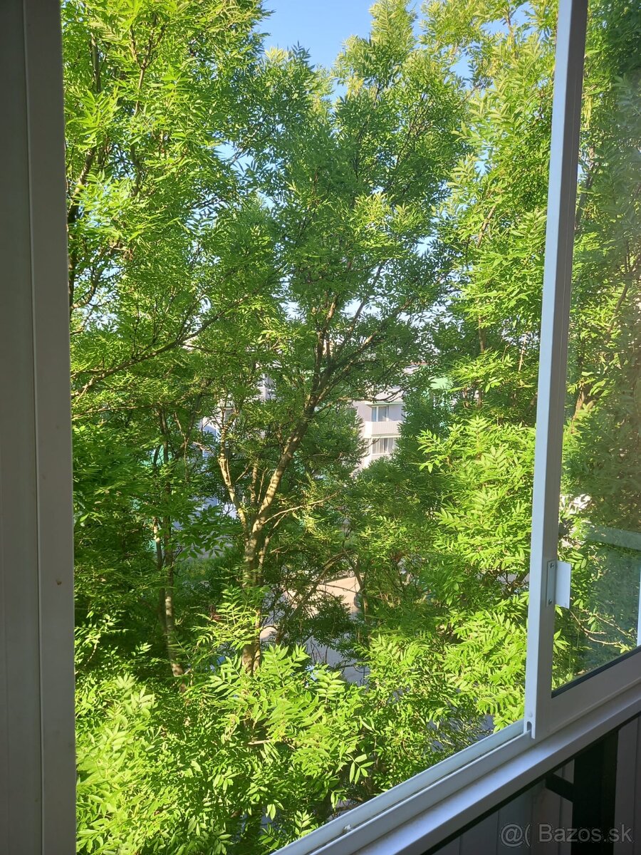 Garsónka Senica - 8