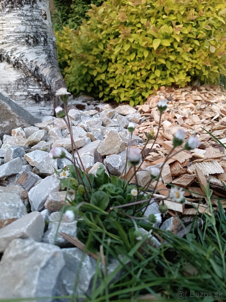 Dekoračná drevná štiepka - 8