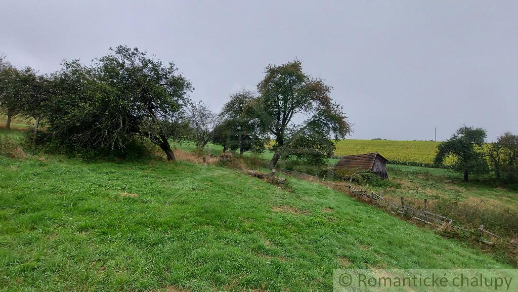 Chalupa na 4 ha pozemku, vhodná na hospodárenie, okr. Myja - 8