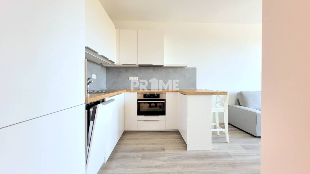 MODERNÝ 1,5i byt, NOV., LOGGIA, PARKING, BORY, Mateja Encing - 8