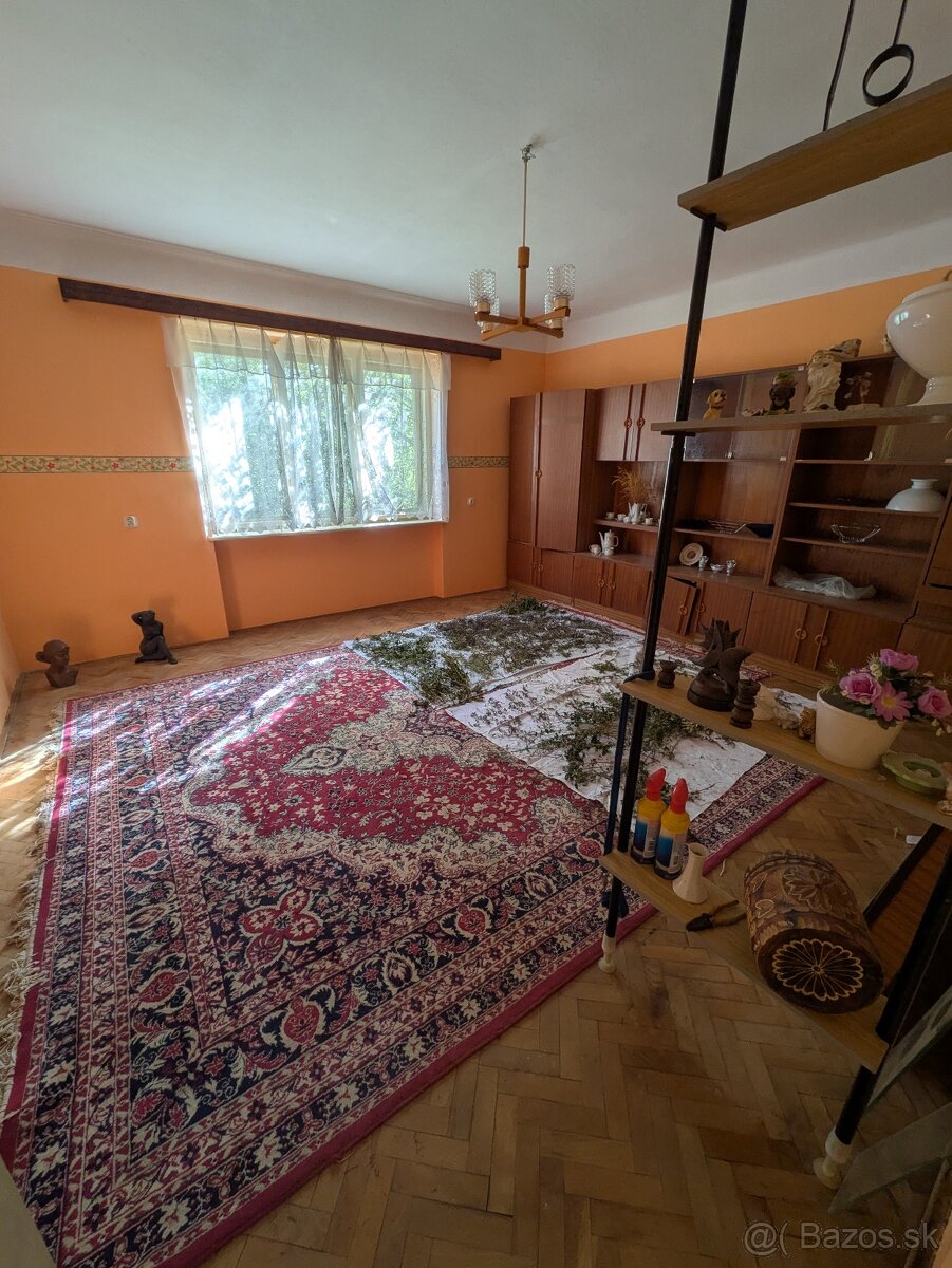 Predaj rodinného domu na polosamote s veľkým pozemkom - 8