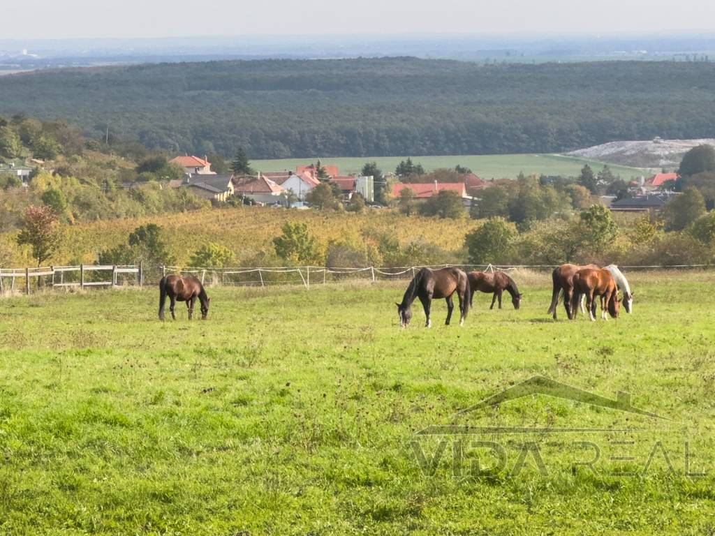Krásny pozemok s potenciálom - 8