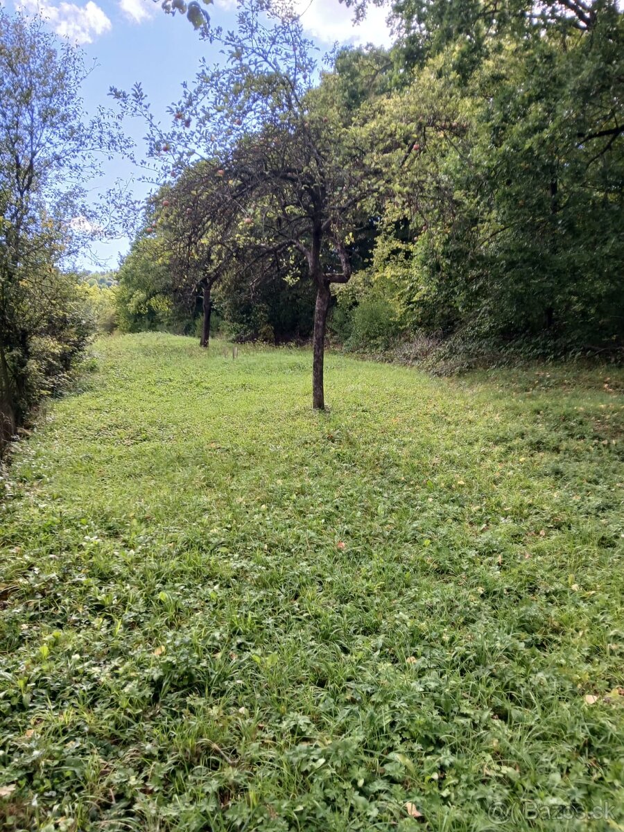 Predaj stavebného pozemku so záhradou o výmere 2.412 m2 - 8