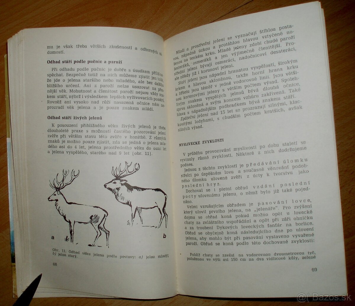 Lovecké praktikum - 8