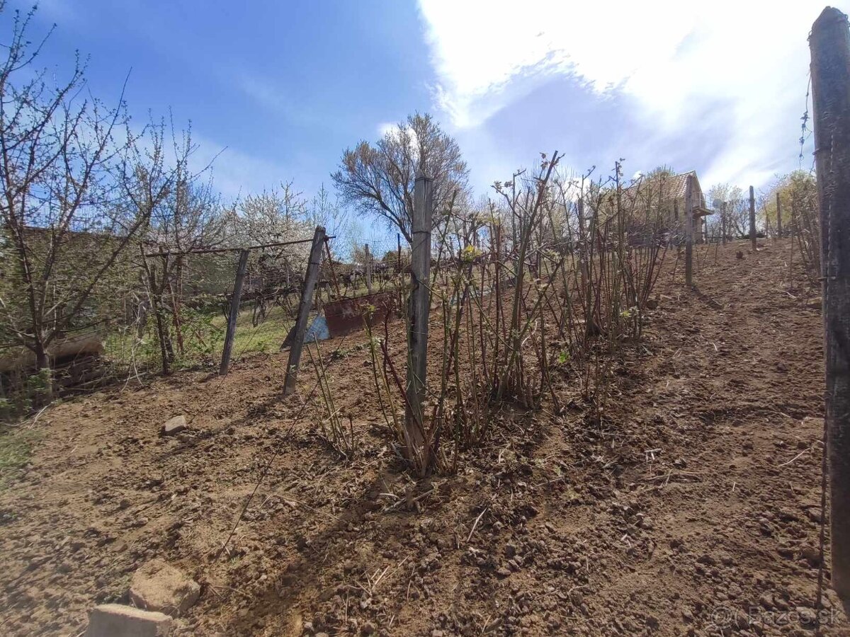 Na predaj viničný dom s 15a pozemkom, Staré predné Levice - 8