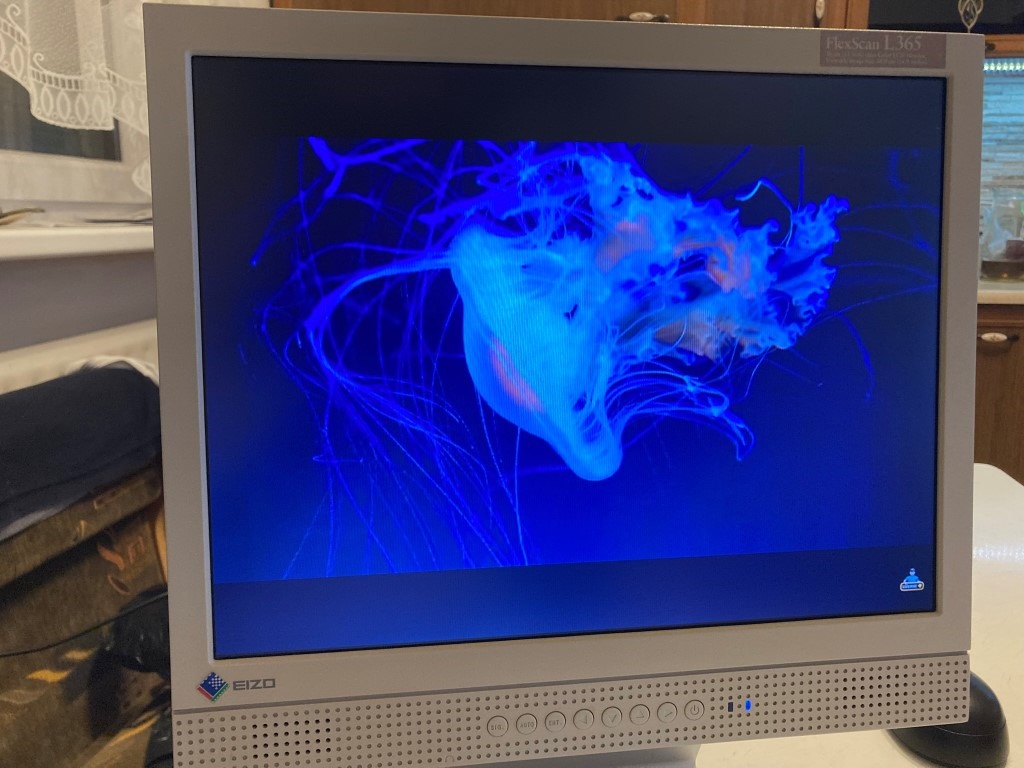 Predám monitor EIZO FLEXSCAN L365 D-SUB, DVI, ZVUK - 8