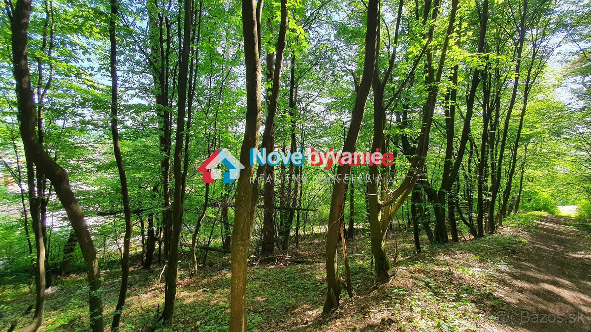 EXKLUZÍVNE. Na predaj pozemok v obci Kochanovce (N027-14-ZD - 8