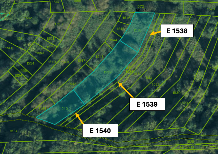 Omastiná – 9.909 m2 LESY a PASIENKY – PREDAJ - 8
