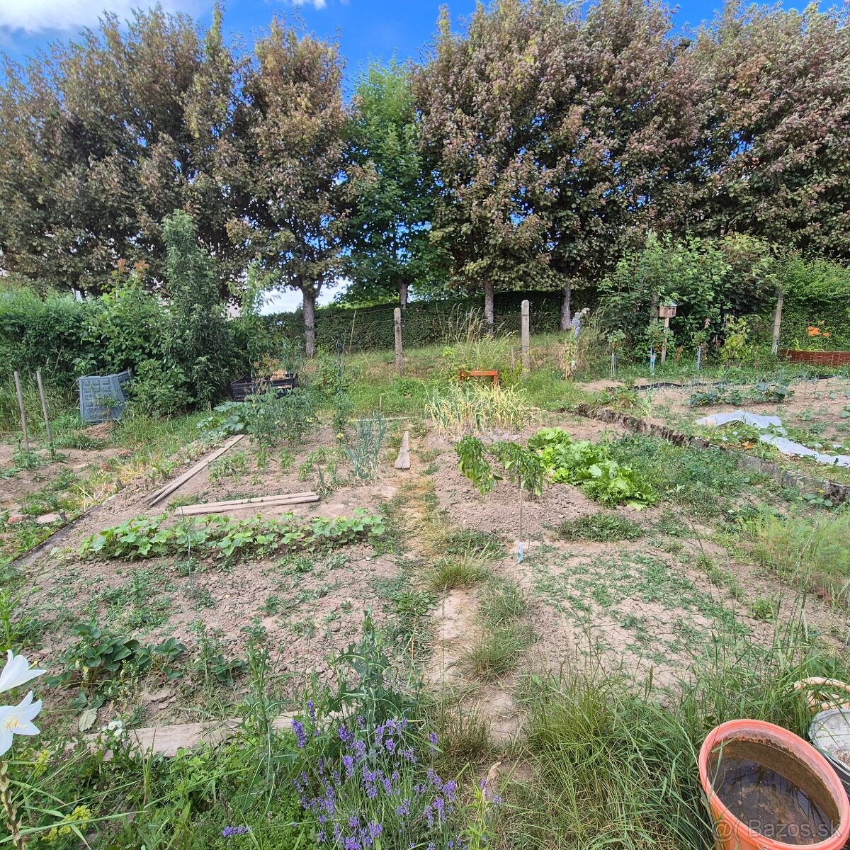 TIMA Real ponúka na predaj 3-izbový byt s balkónom, garážou - 8