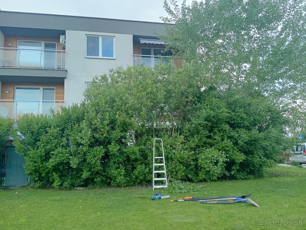 Ponúkame kosenie pozemkov - 8