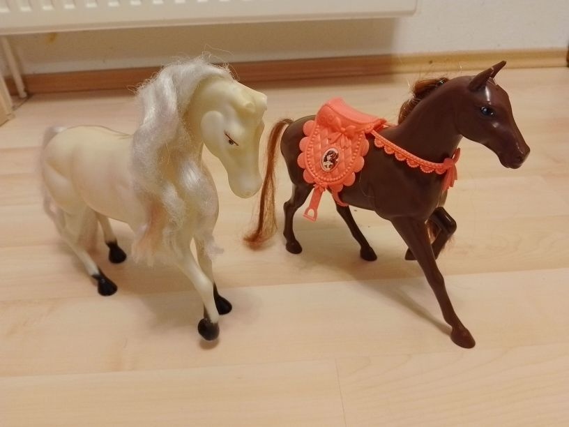 Koníky a poníky - 8