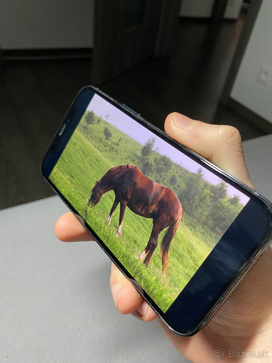 Výmena displeja iPhone do 24h – rýchlo a lacno | od 30€ - 8