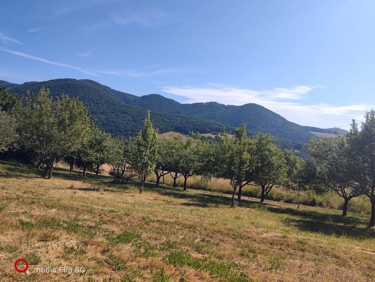 Ovocný sad / Záhrada na predaj - 8