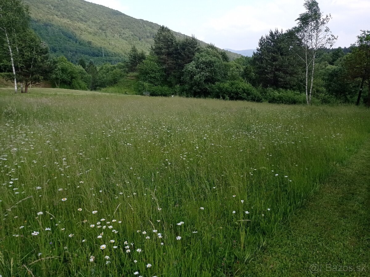 Seno pre drobné cicavce balené 1 KG - 8