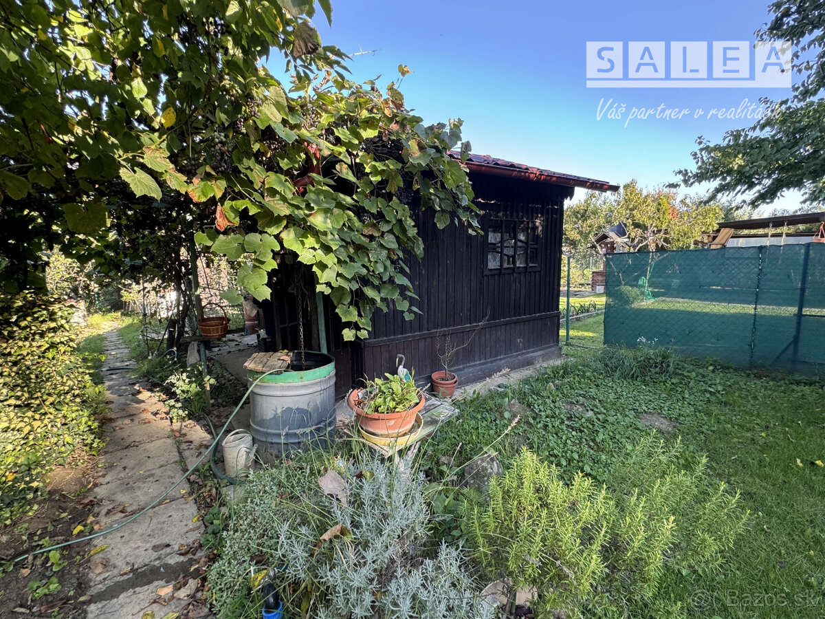 Záhrada 293 m2 v Šali pri tenisových kurtoch - 8