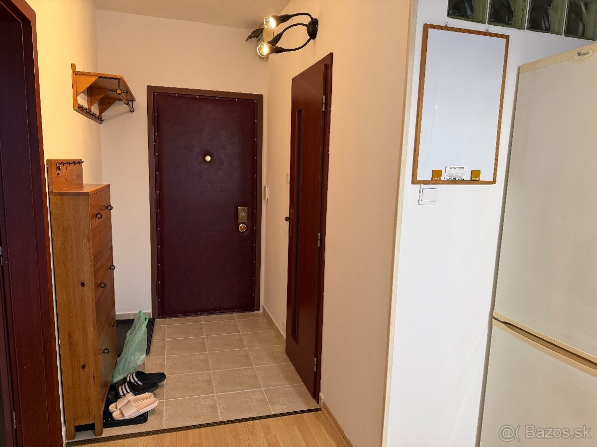 Na prenájom 1 izbový byt pri auparku - Voľný ihned - 8