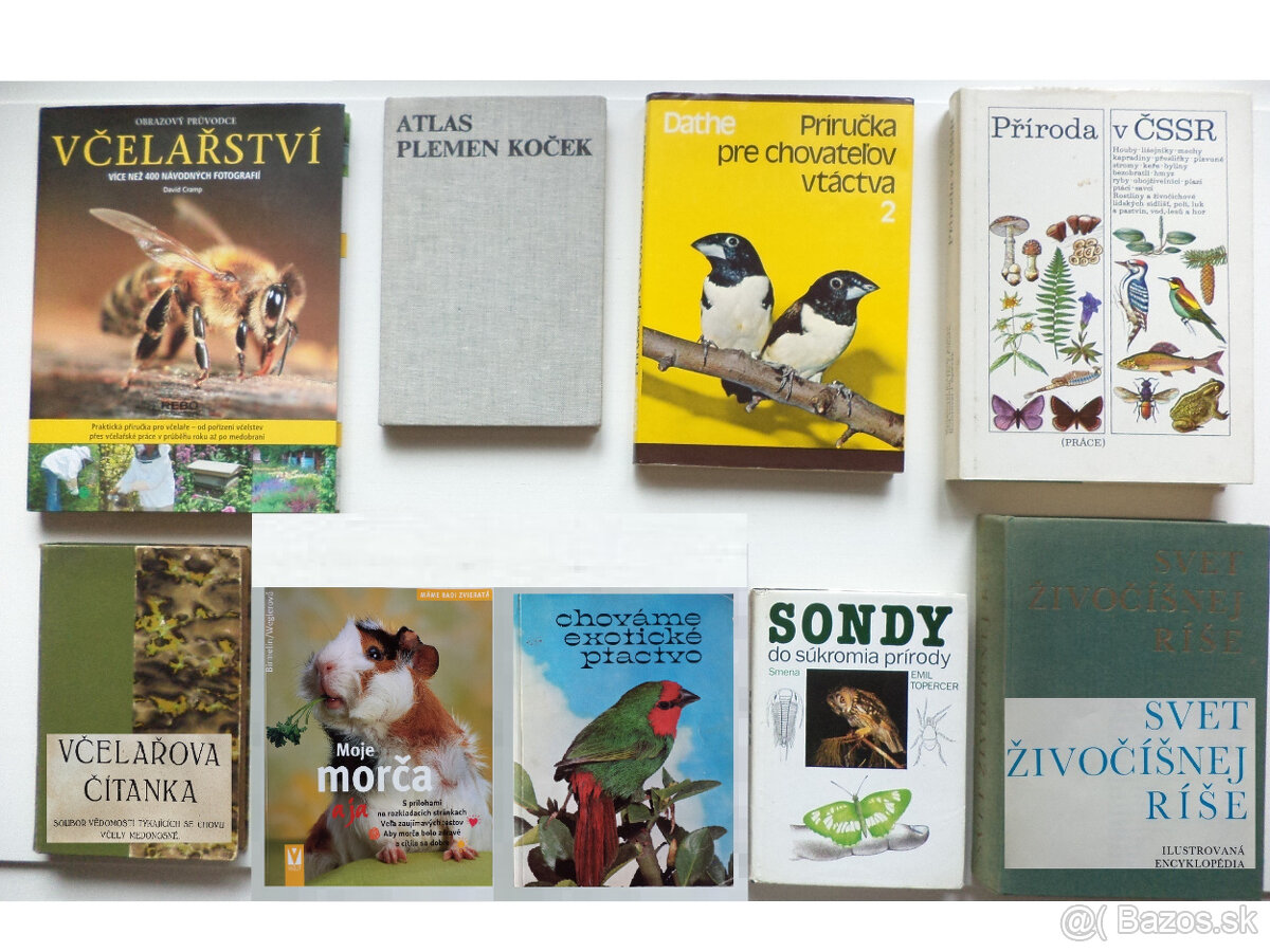 zvieratá, príroda, chov 1 - 8