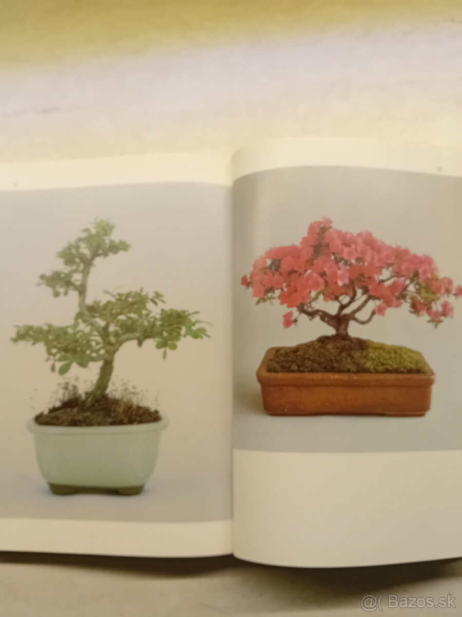 Kniha : BONSAI - 8