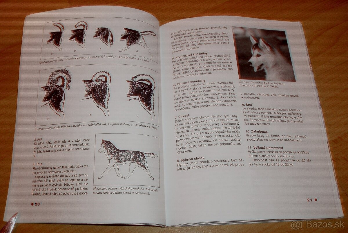 Severské plemená psov - 8