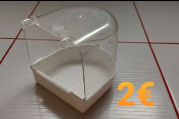 Papagaj, pes,mačka,škrečok - 8