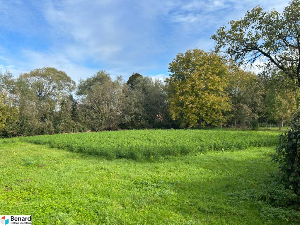 RODINNÝ DOM S VEĽKÝM POZEMKOM 3858m2, TULČÍK, OKR.PREŠOV - 8