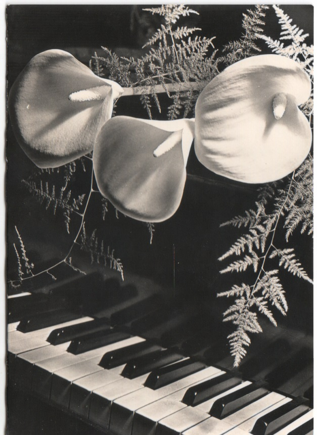 Staršie tématické pohľadnice a pohľadnicové skladačky - 8