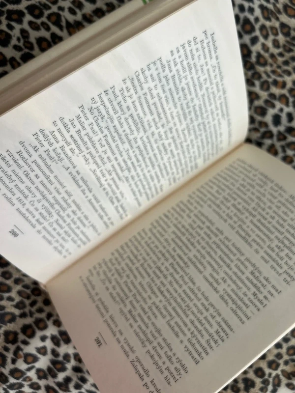 Rubens - Donald Braider - 8