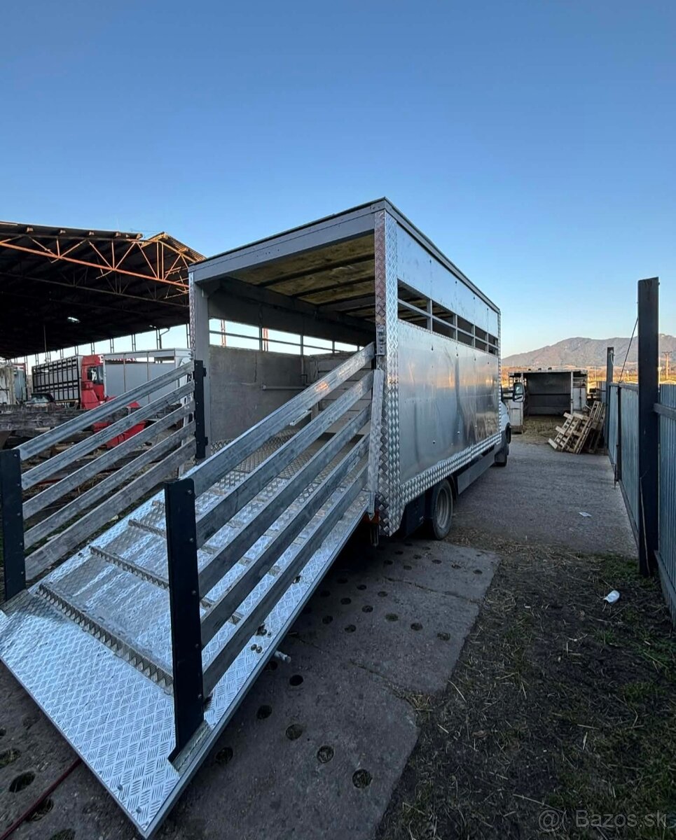 Iveco na prepravu zvierat - 8