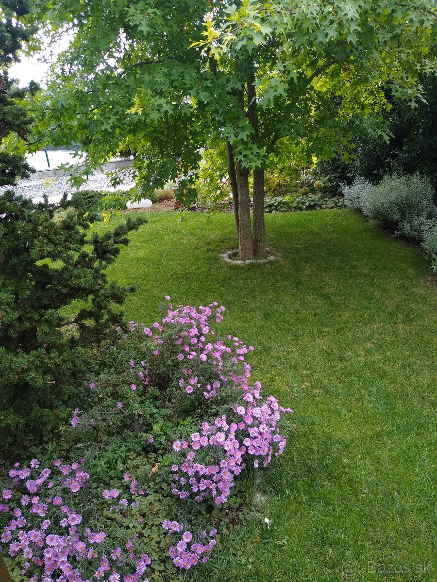 Bývajte na adrese s prívlastkom "" čistý vzduch "" - 8