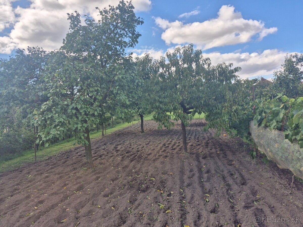 RD v obci Jelšovce - 8