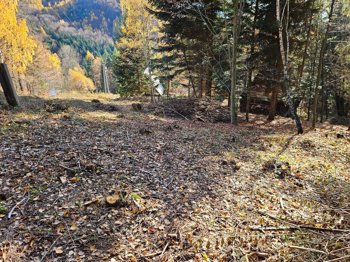 Predam chatu s pozemkom 1978m2 Drienica - 8