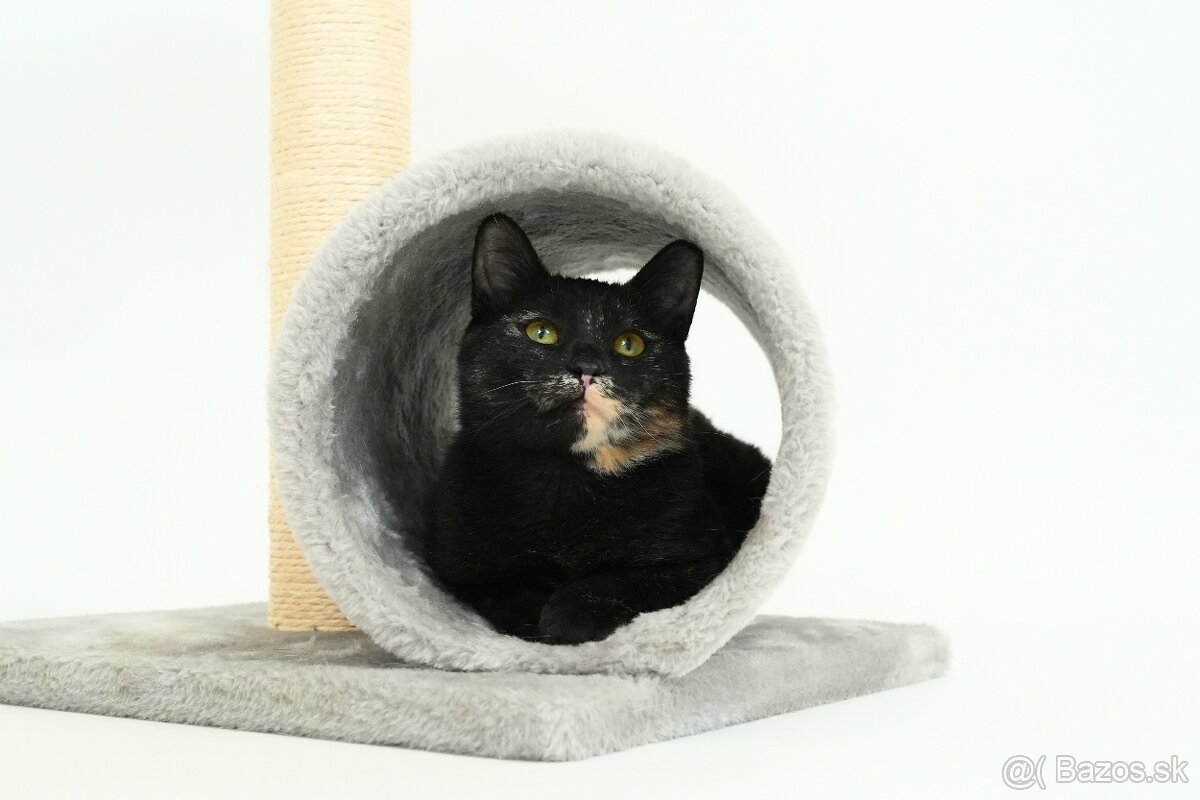 Malá mačička AGÁTKA hľadá domov - 8