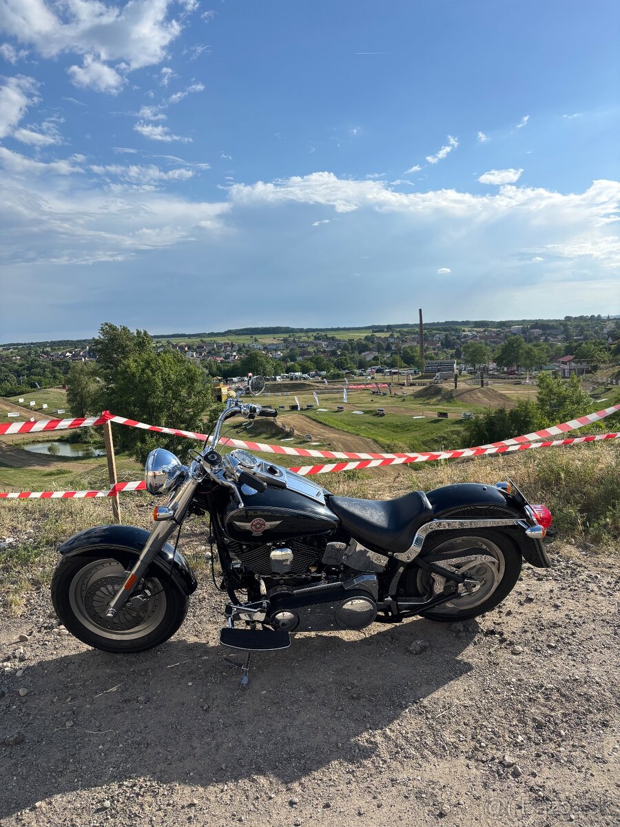 Harley Davidson - 8