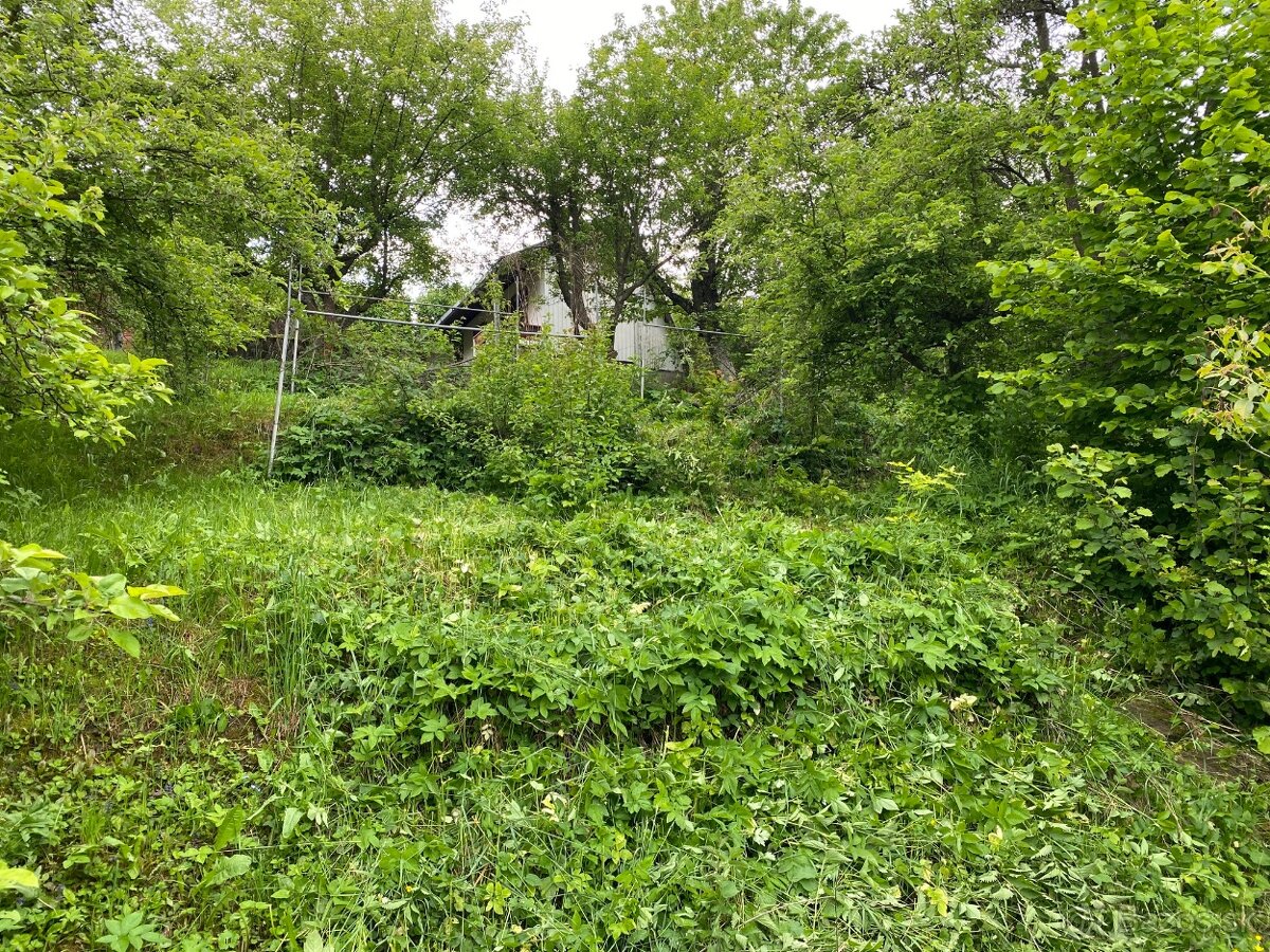 Záhrada 383 m2 s chatou 2izb Košice – Zdoba - 8