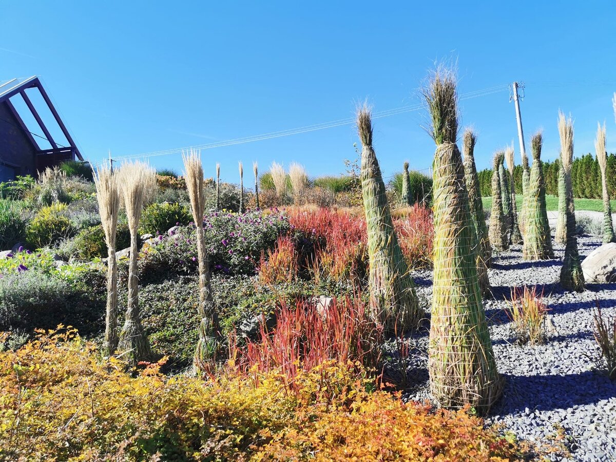 ✨ GREENMAMBA GARDEN – záhrady, do ktorých sa budete chcieť v - 8