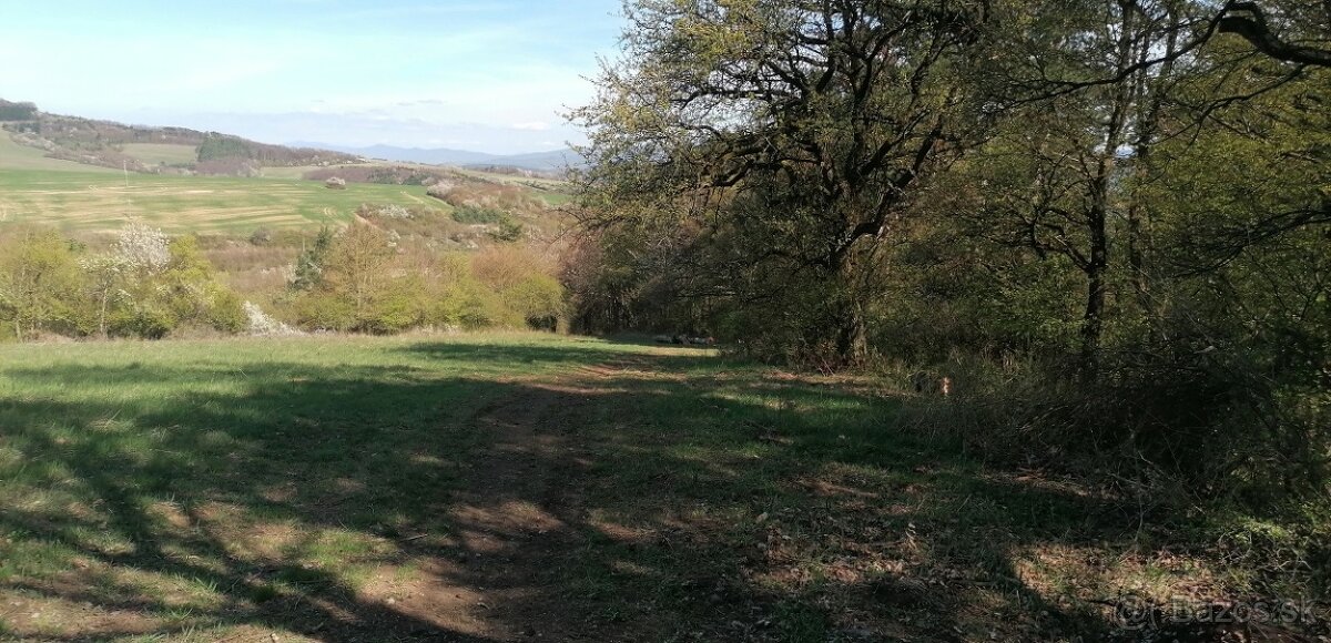 Farmárčenie - Horné Bzince - 8