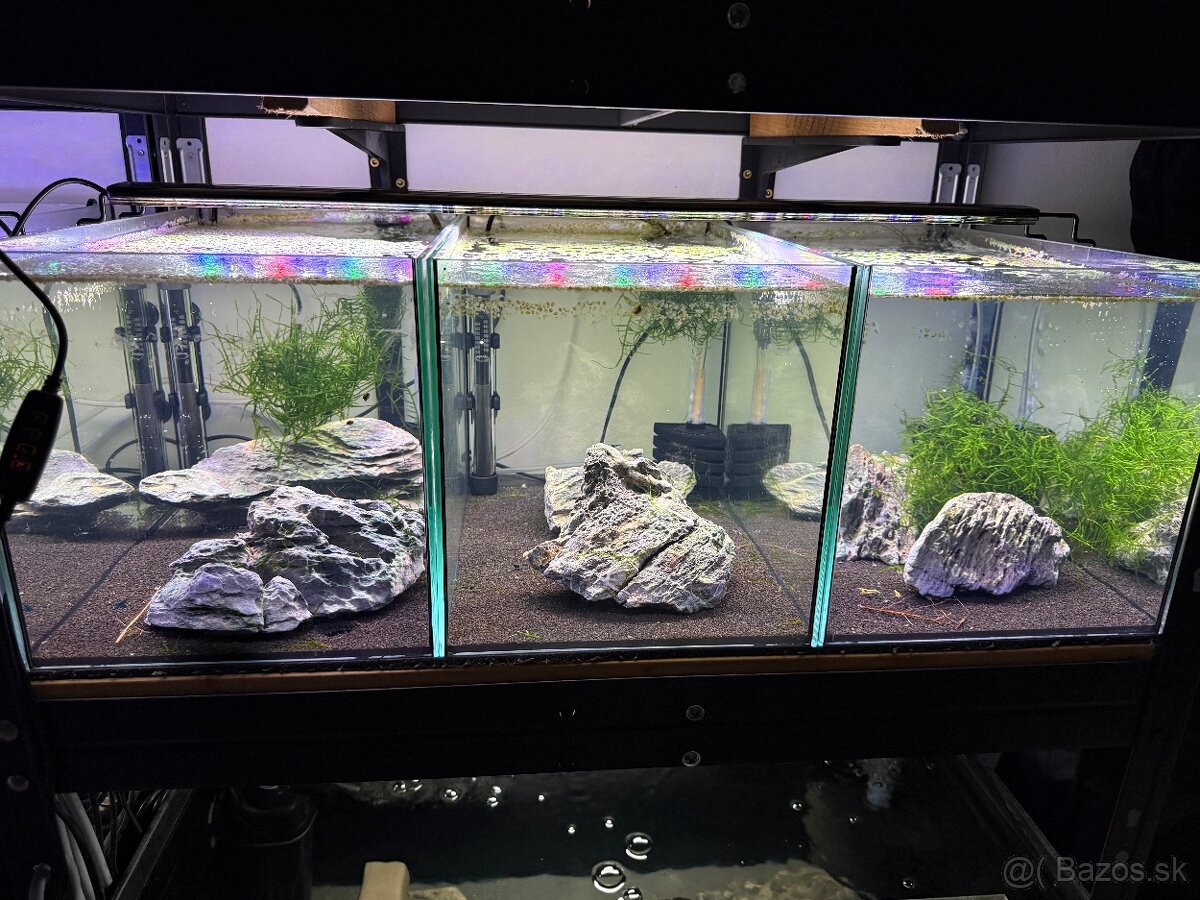 Regály s akváriami, technikou a rybičkami - 8