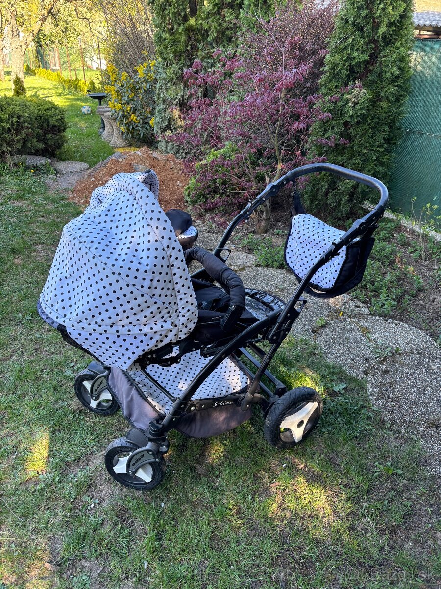 Bodkovaný kočík - 8